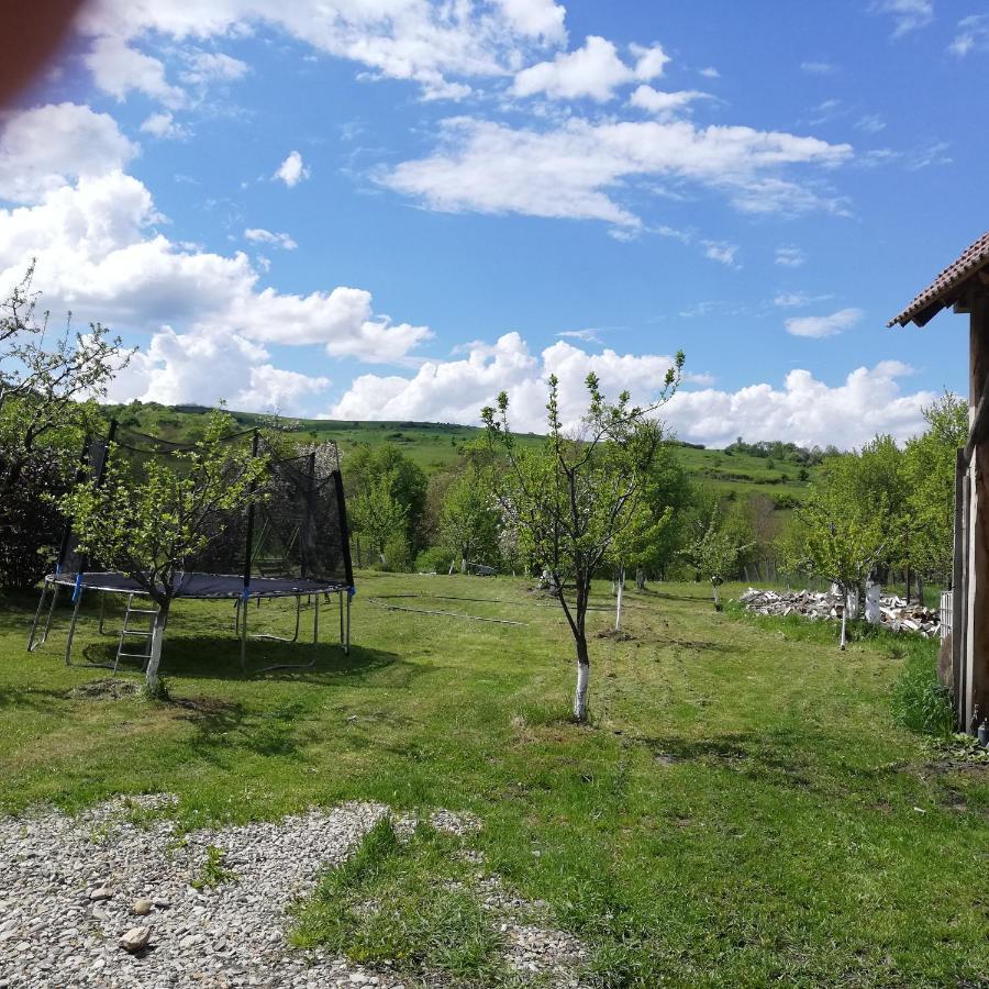 Casa Din Barcut Vendégház Kültér fotó