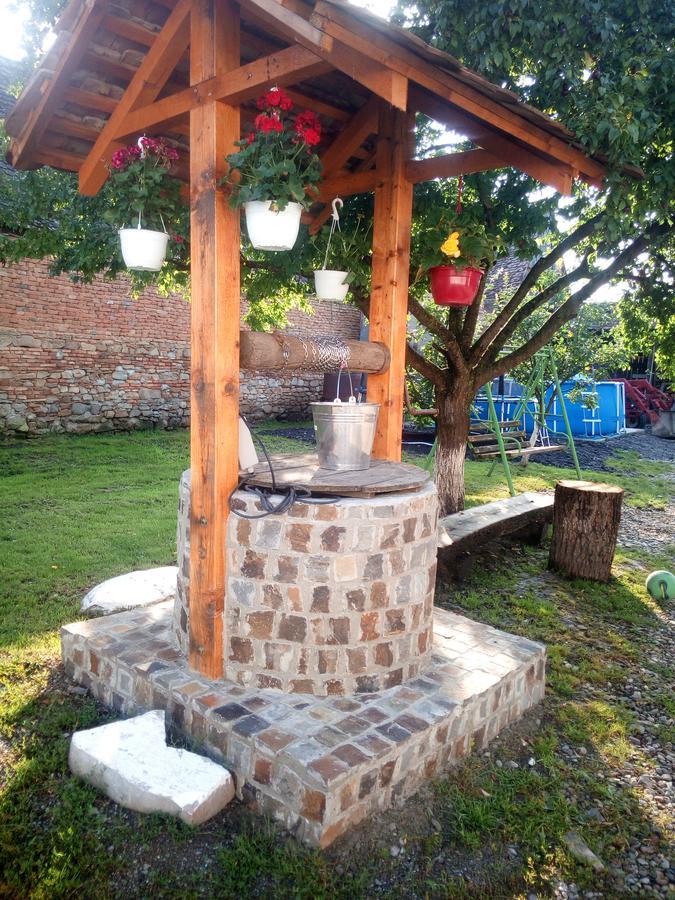 Casa Din Barcut Vendégház Kültér fotó