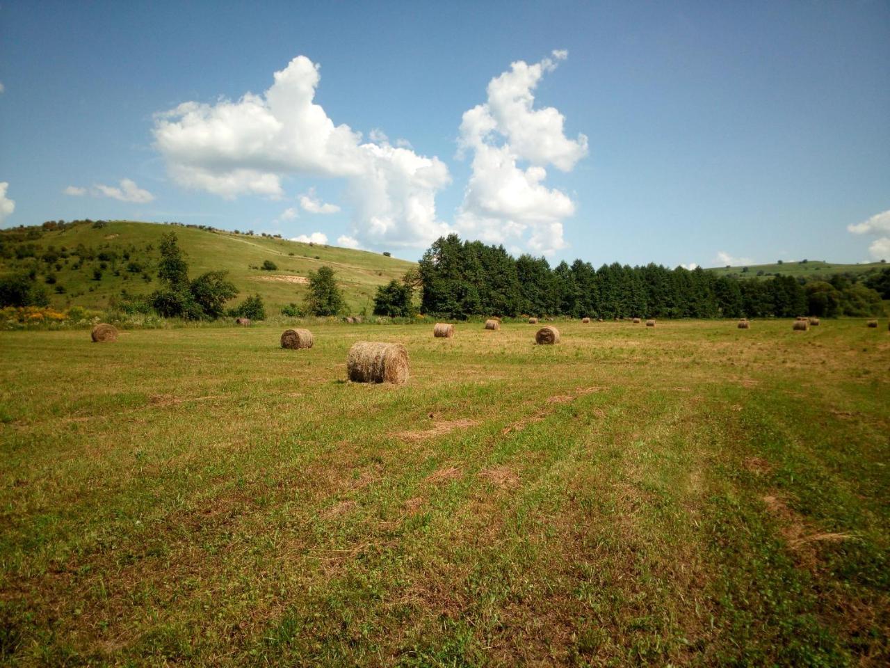 Casa Din Barcut Vendégház Kültér fotó