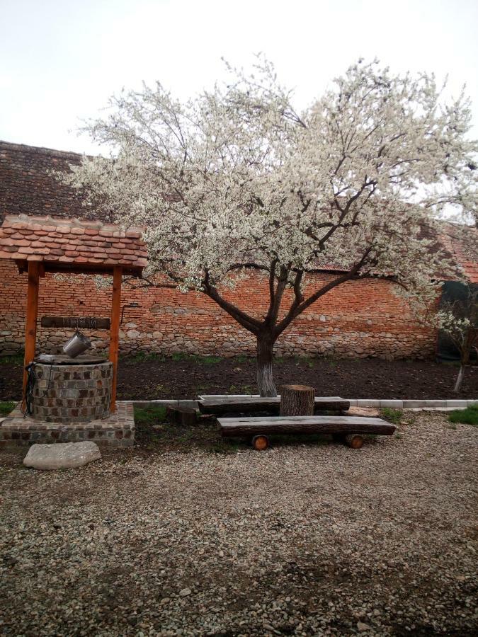Casa Din Barcut Vendégház Kültér fotó
